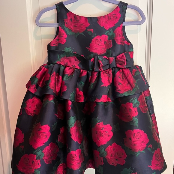 Janie and Jack Size 2 Navy and Deep Pink Rose Dress - Picture 1 of 4
